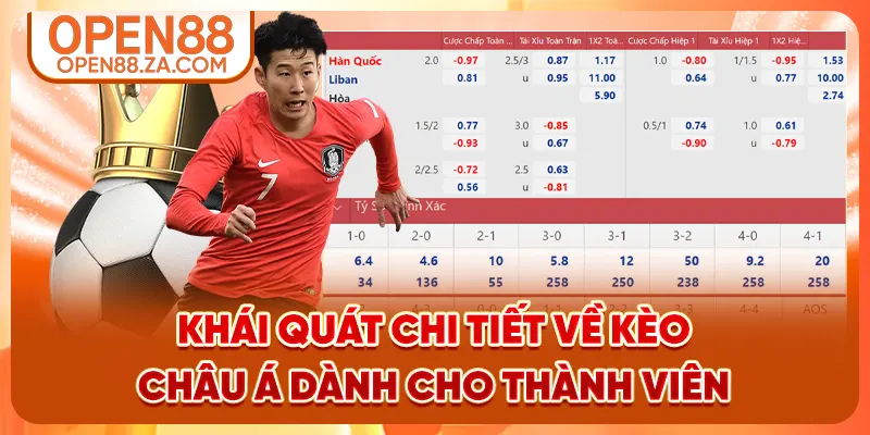 Khái quát chi tiết về kèo châu Á dành cho thành viên